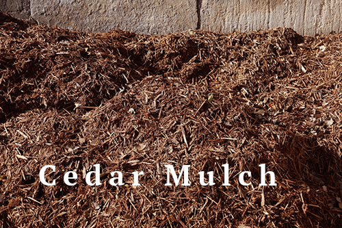 Cedar Mulch - Bulk